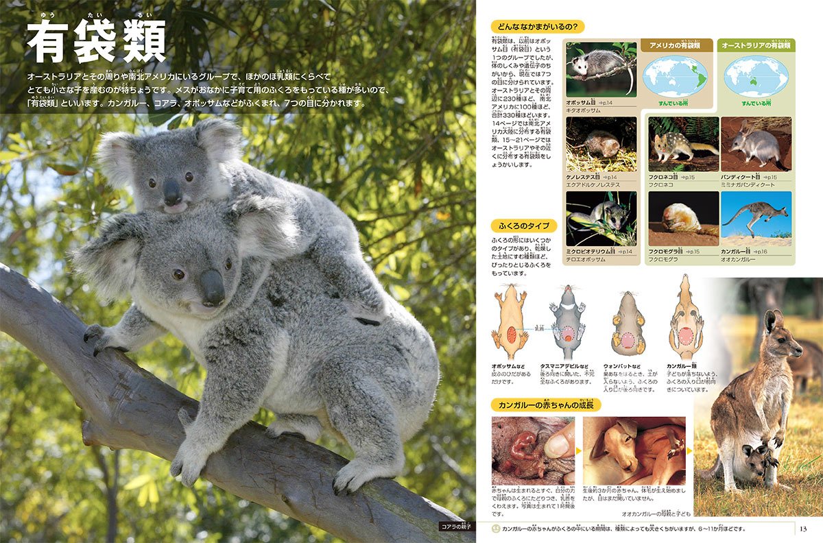 小学館の図鑑NEO〔新版〕動物DVDつき[三浦慎悟]