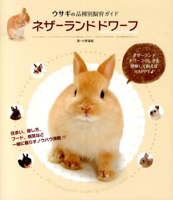 楽天ブックス ネザーランドドワーフ ウサギの品種別飼育ガイド 大野瑞絵 本