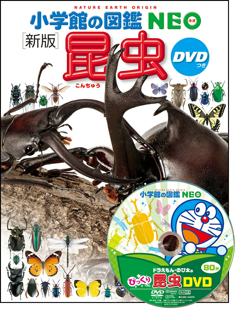 小学館の図鑑NEO〔新版〕昆虫DVDつき[小池啓一]