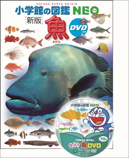 楽天ブックス: 魚 新版 - DVDつき - 井田 齋 - 9784092173040 : 本