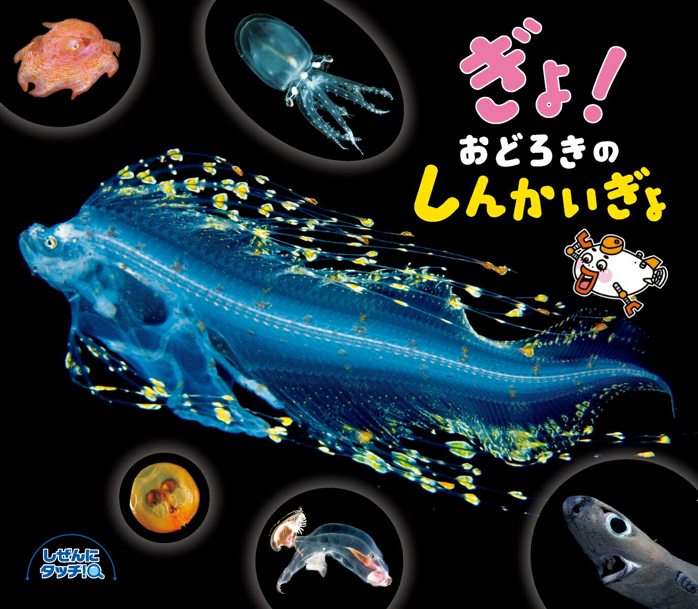 深海 鯨が誘うもうひとつの世界 Amazon.co.jp: 深海 鯨が誘うもうひとつの世界 : 藤原 義弘