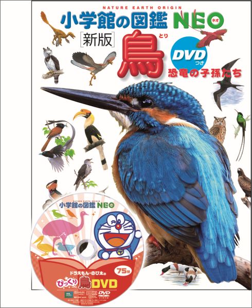 楽天ブックス: 鳥 新版 - DVDつき 恐竜の子孫たち - 上田 恵介