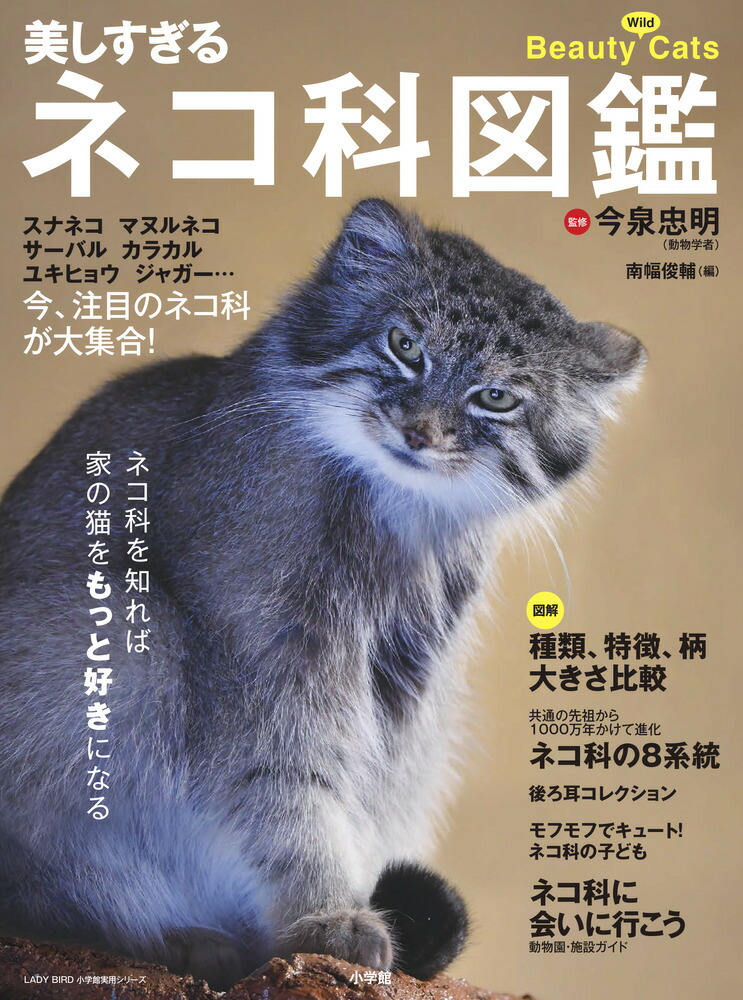 ビジュアル猫種百科図鑑 | 小島正記 |本 | 通販 | Amazon