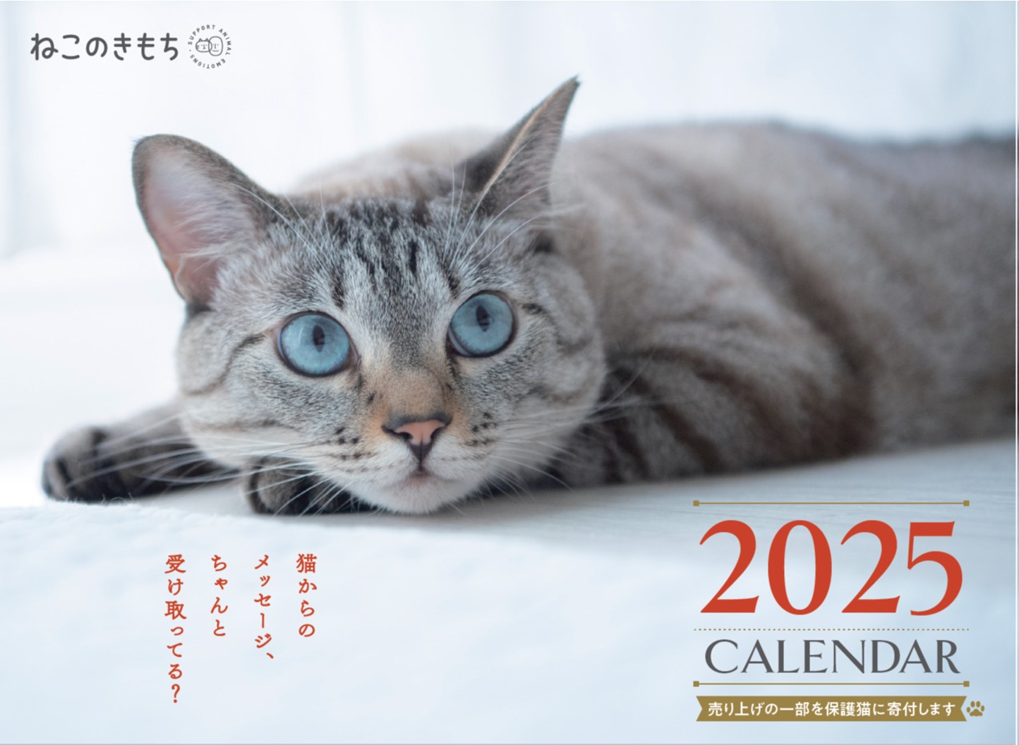 ねこのきもち大判カレンダー2025