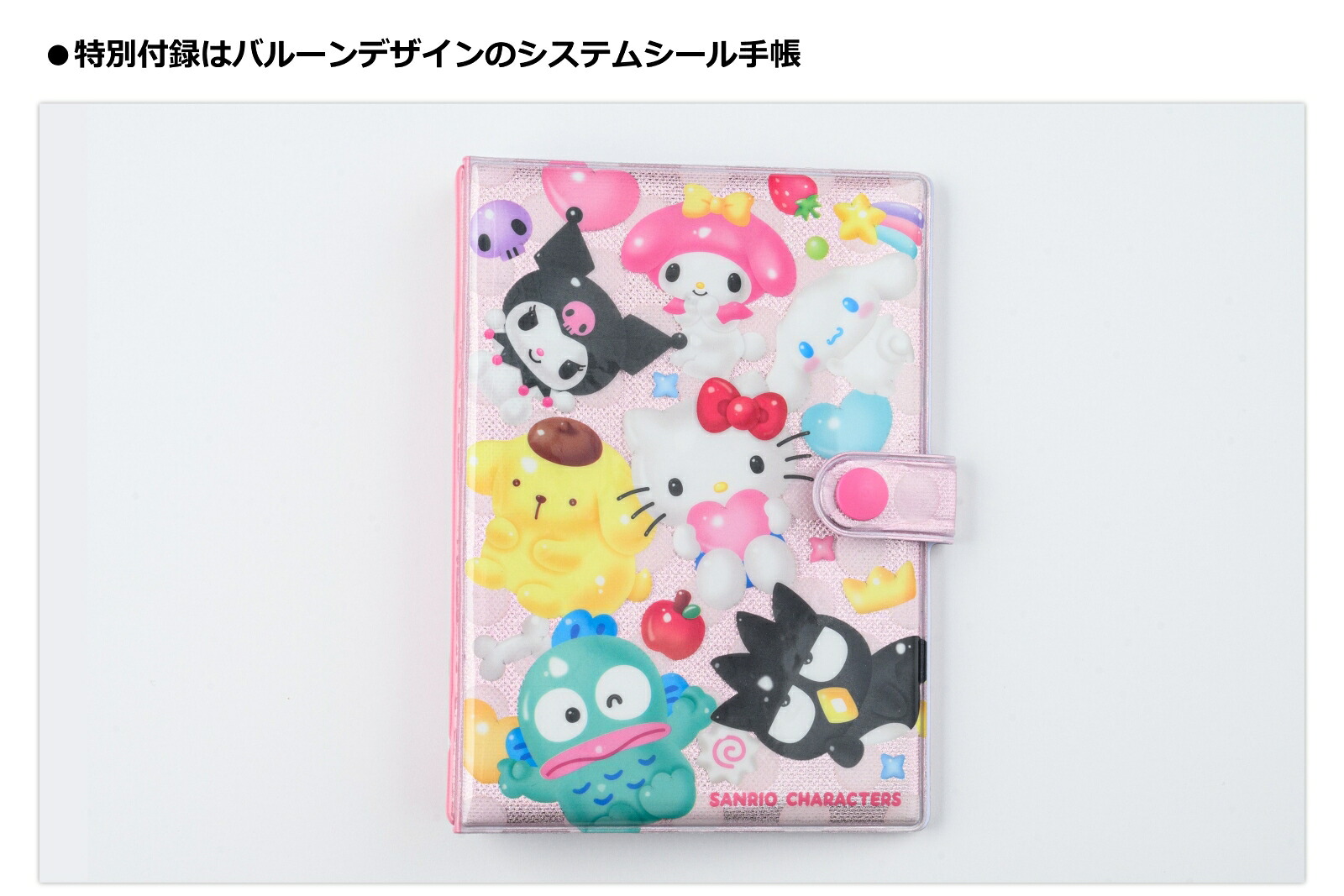 あそぼうサンリオキャラクターズ きらめきかわいいブック システム 