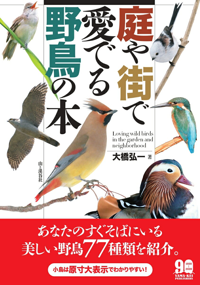 楽天ブックス 庭や街で愛でる野鳥の本 本