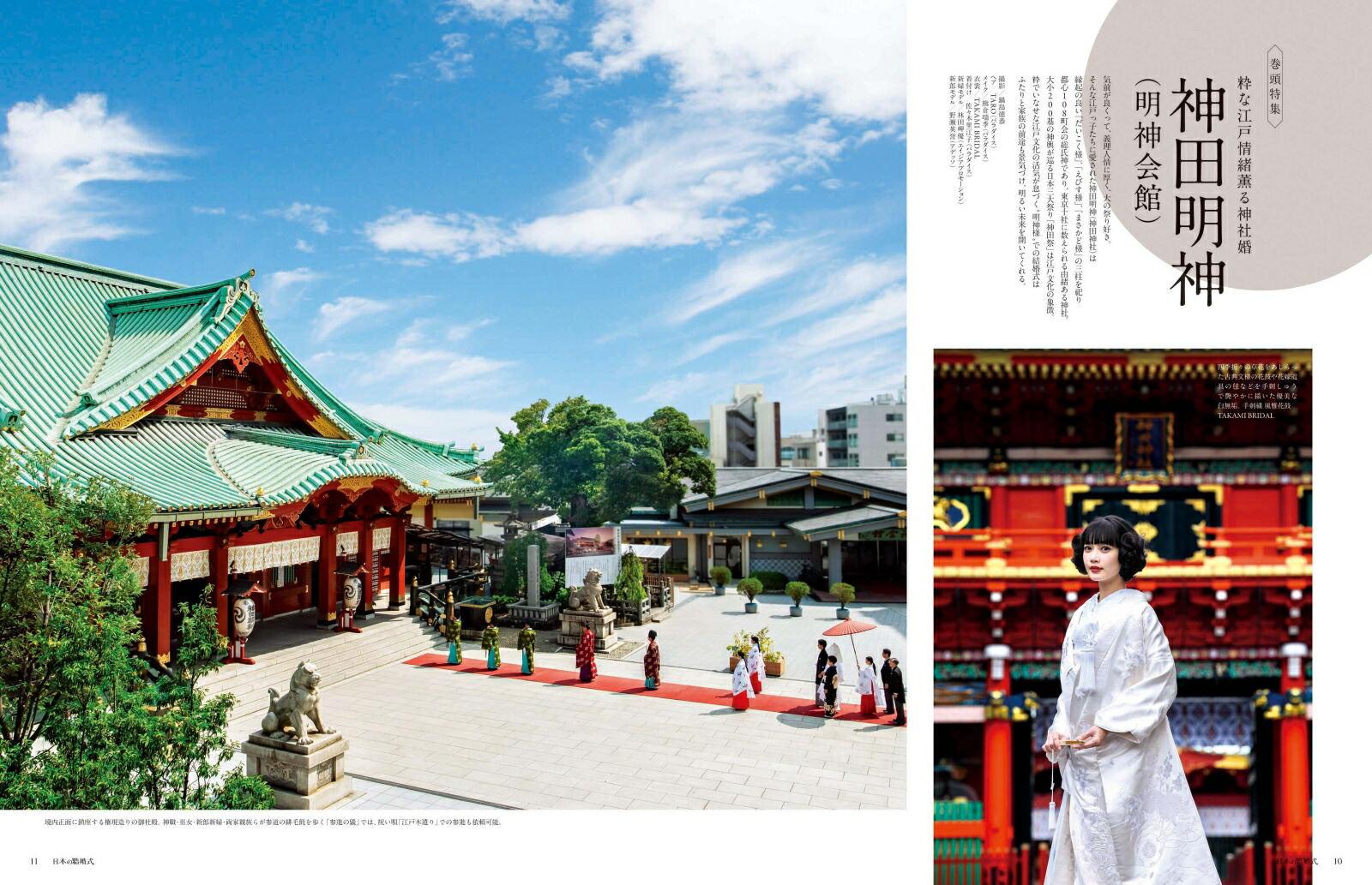 ܤη뺧No.33襷꡼[IBJǥ]