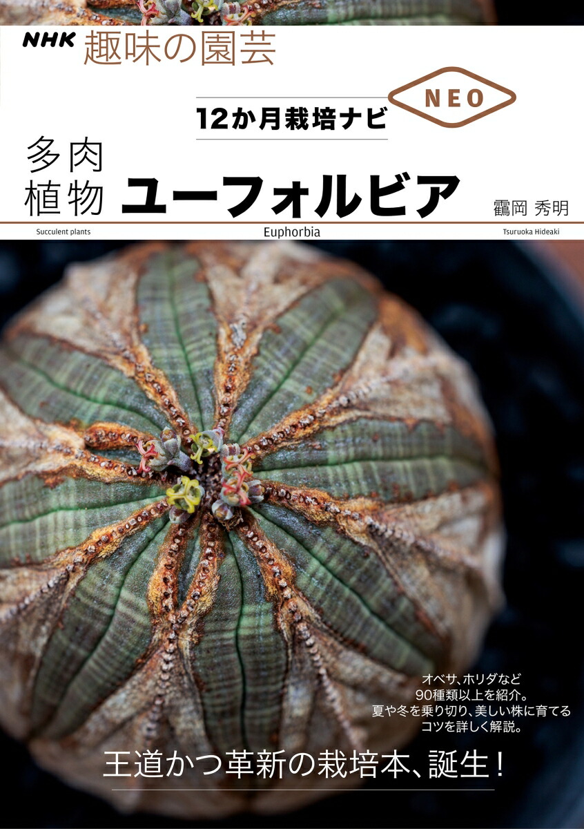 楽天ブックス: 多肉植物 ユーフォルビア (NHK趣味の園芸 12か月栽培ナビNEO) - 鶴岡 秀明 - 9784140403082 : 本