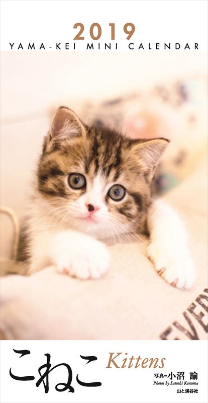 こねこミニカレンダー（2019）（［カレンダー］）