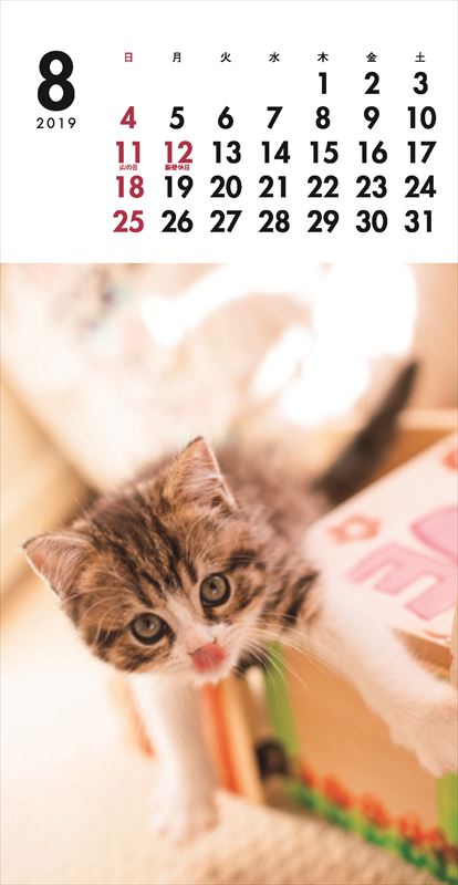 こねこミニカレンダー（2019）（［カレンダー］）