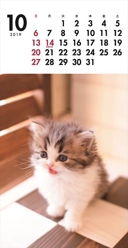 こねこミニカレンダー（2019）（［カレンダー］）