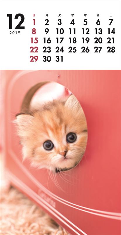 こねこミニカレンダー（2019）（［カレンダー］）