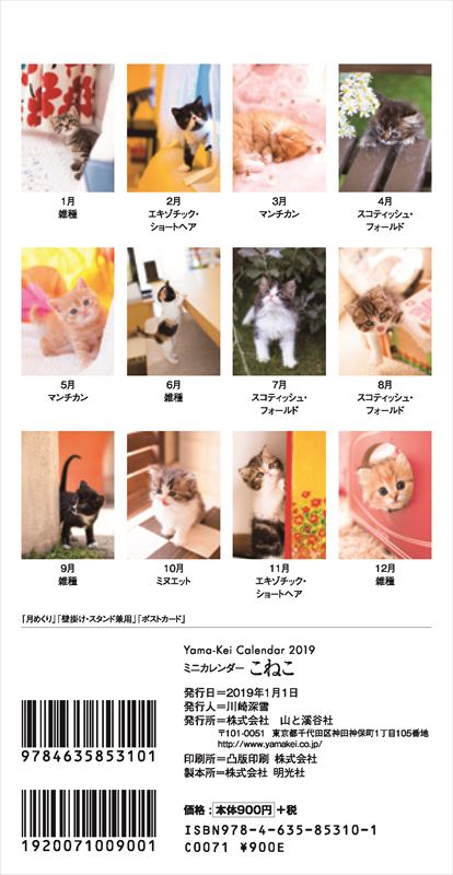 こねこミニカレンダー（2019）（［カレンダー］）