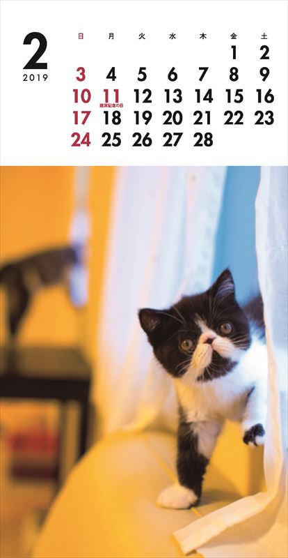 こねこミニカレンダー（2019）（［カレンダー］）