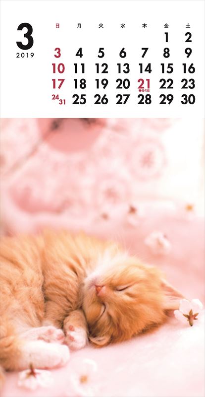 こねこミニカレンダー（2019）（［カレンダー］）