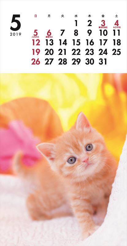 こねこミニカレンダー（2019）（［カレンダー］）