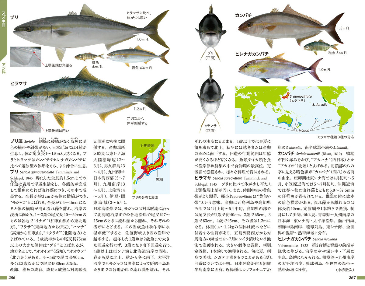 楽天ブックス 小学館の図鑑z 日本魚類館 精緻な写真と詳しい解説 中坊 徹次 本