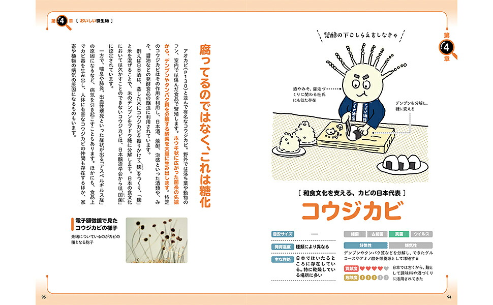 世界一やさしい！微生物図鑑[鈴木智順]