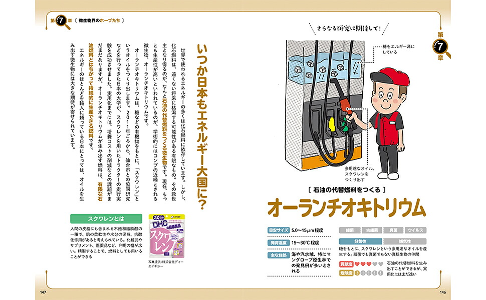 世界一やさしい！微生物図鑑[鈴木智順]