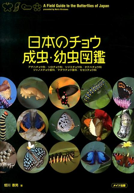 楽天ブックス: 日本のチョウ成虫・幼虫図鑑 - 蛭川憲男