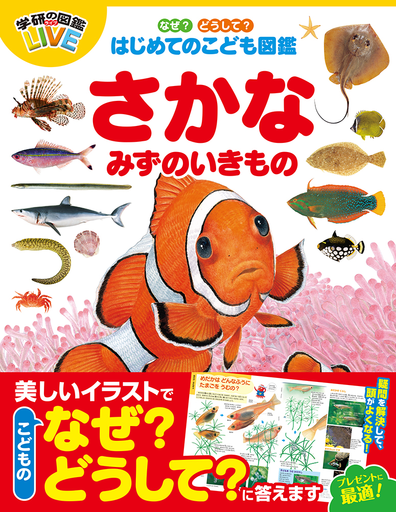 楽天ブックス なぜ どうして はじめてのこども図鑑 さかな みずのいきもの 本村浩之 本