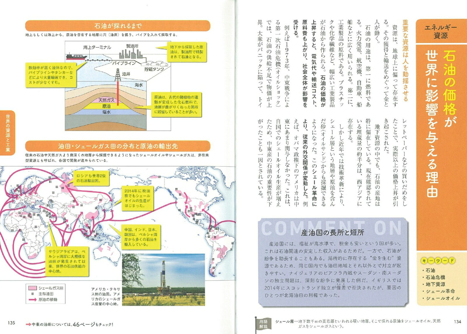 楽天ブックス 日本と世界の地理 リアルな今がわかる 井田仁康 本