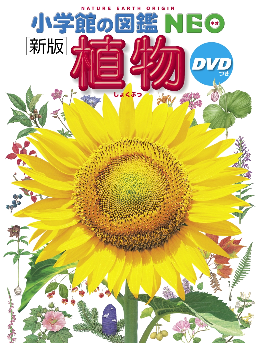 小学館の図鑑NEO〔新版〕 植物 DVDつき画像