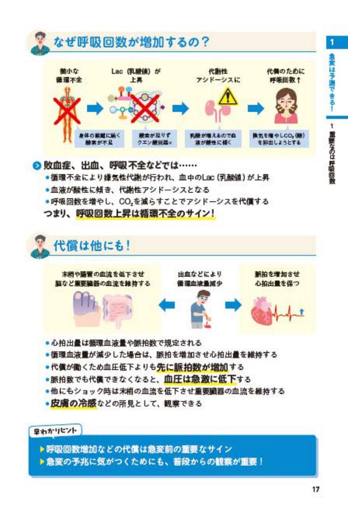 �ѥäȸ��ǤĤ��ࡪǧ�ꡦ����Ǹ�դ�����������б������å������å�ͽ¬����ɾ��̡������̤��б��ޤ�[���ޥʥ�]