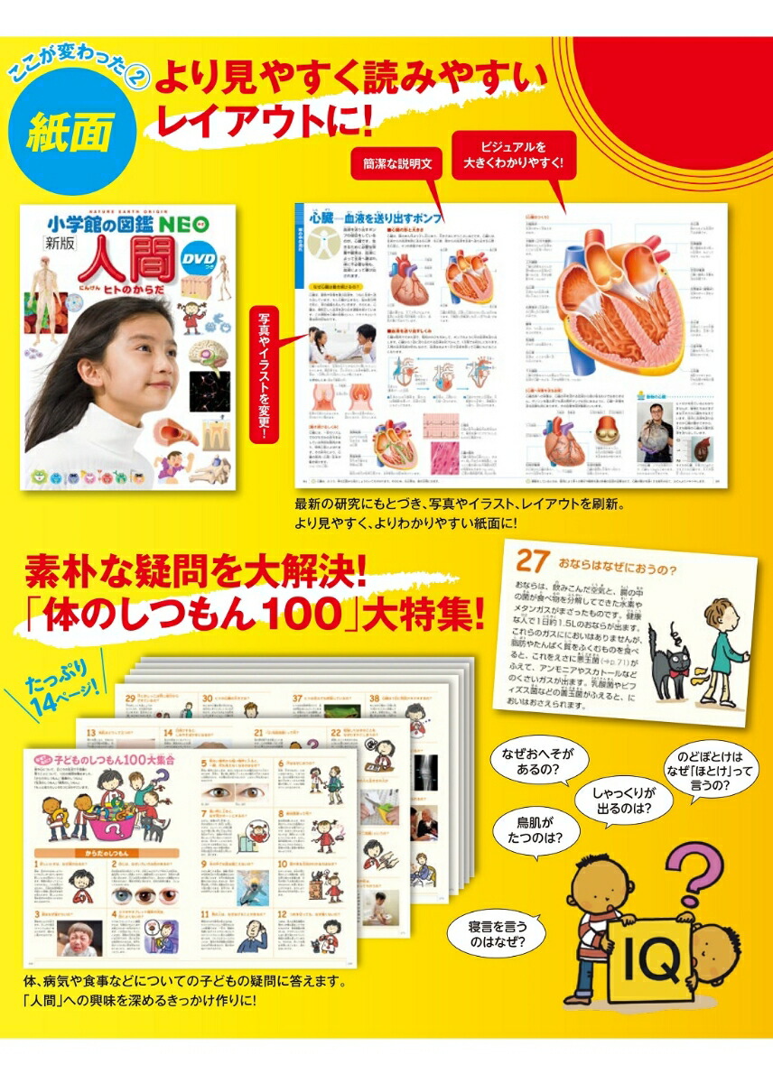 新版］人間 DVDつき ヒトのからだ （小学館の図鑑NEO） [ 松村