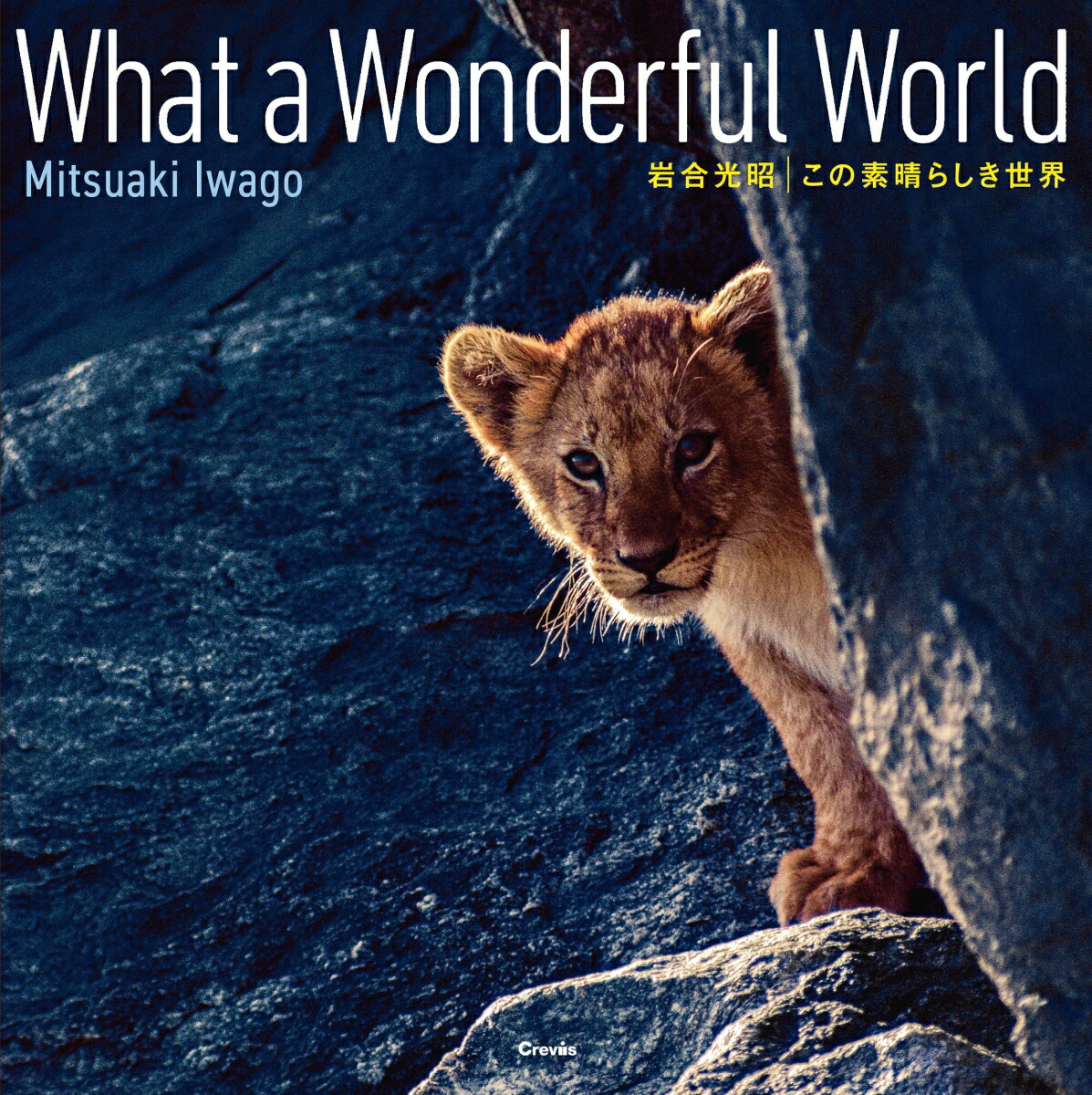 餷WhataWonderfulWorld[]