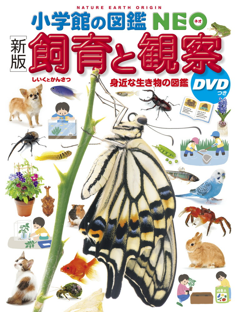 楽天ブックス: ［新版］飼育と観察 DVDつき - 身近な生き物の