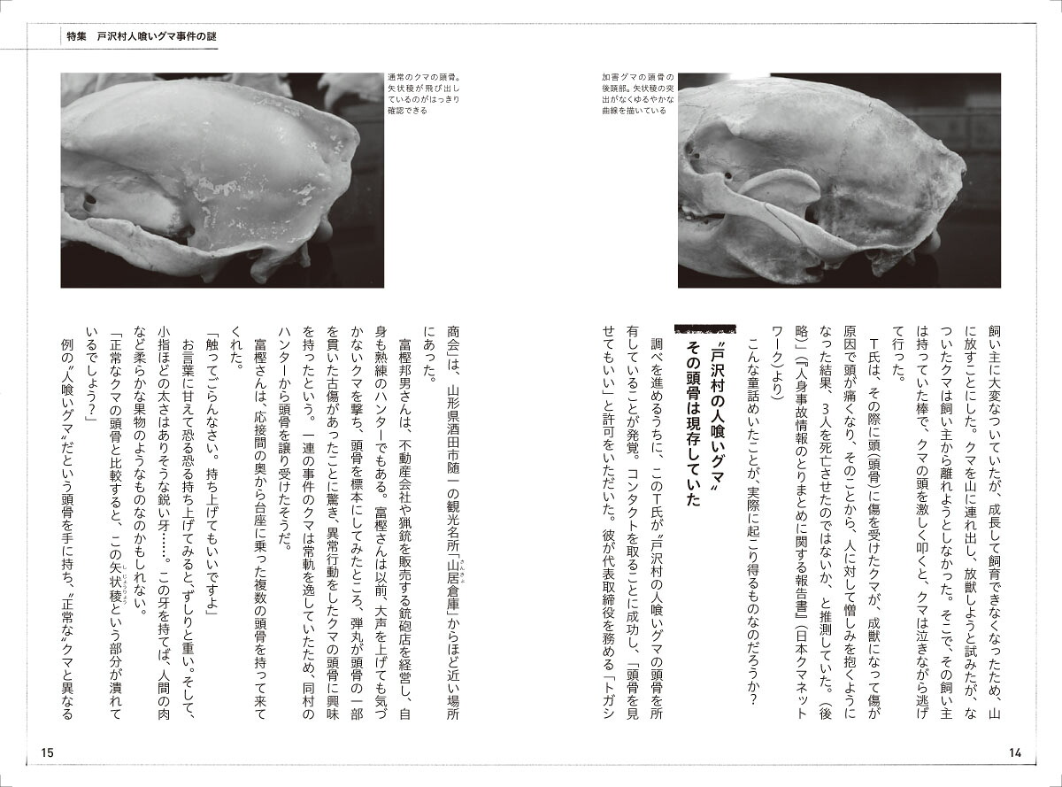 日本クマ事件簿