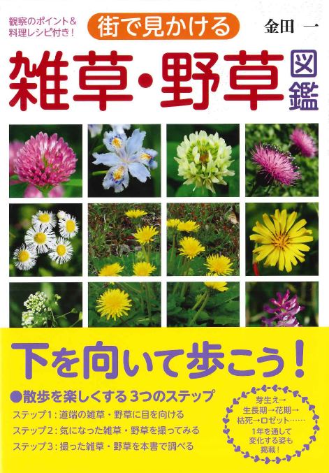 楽天ブックス 街で見かける 雑草 野草図鑑 金田一 本