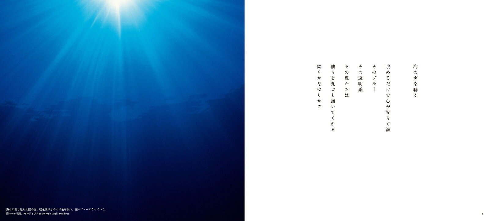 この惑星の声を聴く[高砂淳二]