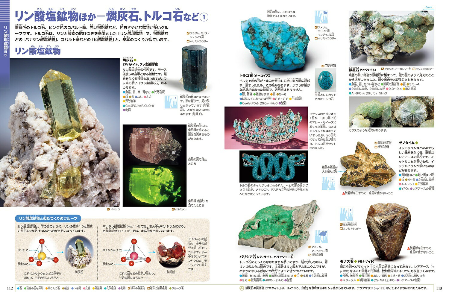 洋書多読　図鑑など7冊　恐竜　鉱物　古生物encyclopedia 人体 71ZjRIOYSuL.jpg