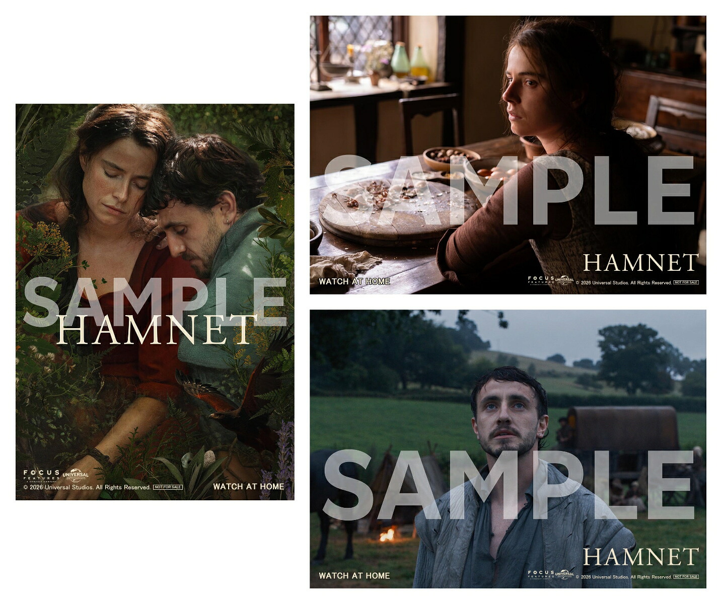 【楽天ブックス限定先着特典】ハムネットブルーレイ+DVDセット【Blu-ray】(L判ブロマイド3枚セット)[ジェシー・バックリー]