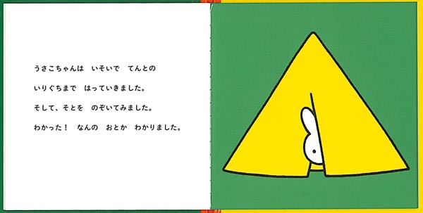 ΤƤȡʥ֥롼ʤγܡ[ǥå֥롼]