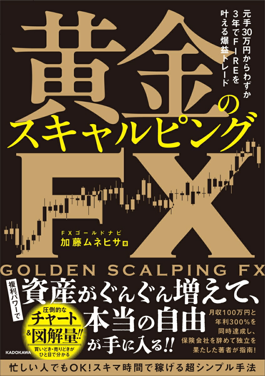 30ߤ鷺3ǯFIRE𤨤ץȥ졼ɲΥԥFX[ƣͥҥ]