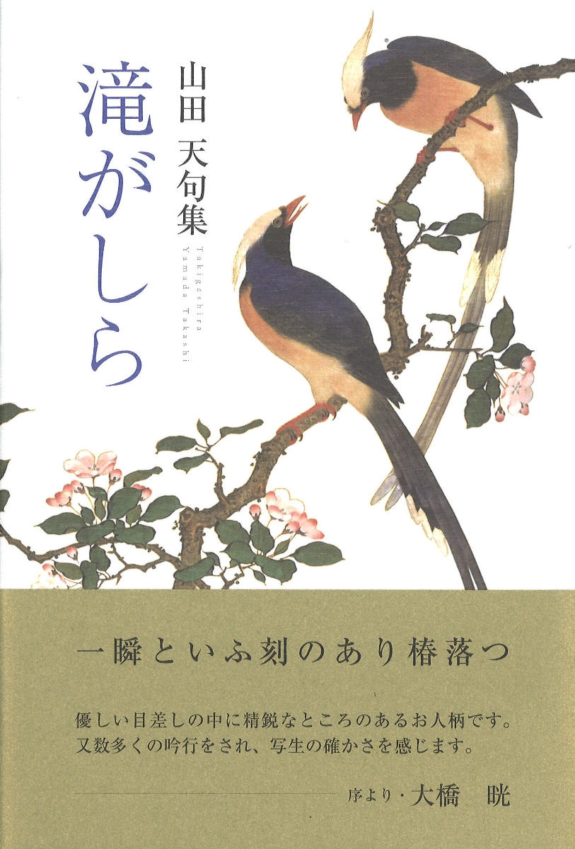 楽天ブックス 滝がしら 山田天 本