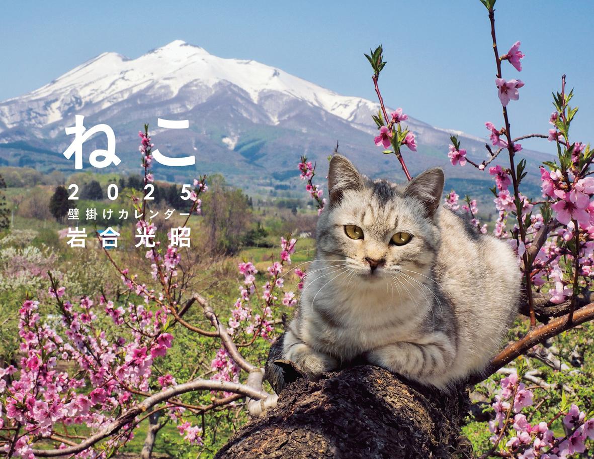2025岩合光昭ねこ壁掛けカレンダー[岩合光昭]
