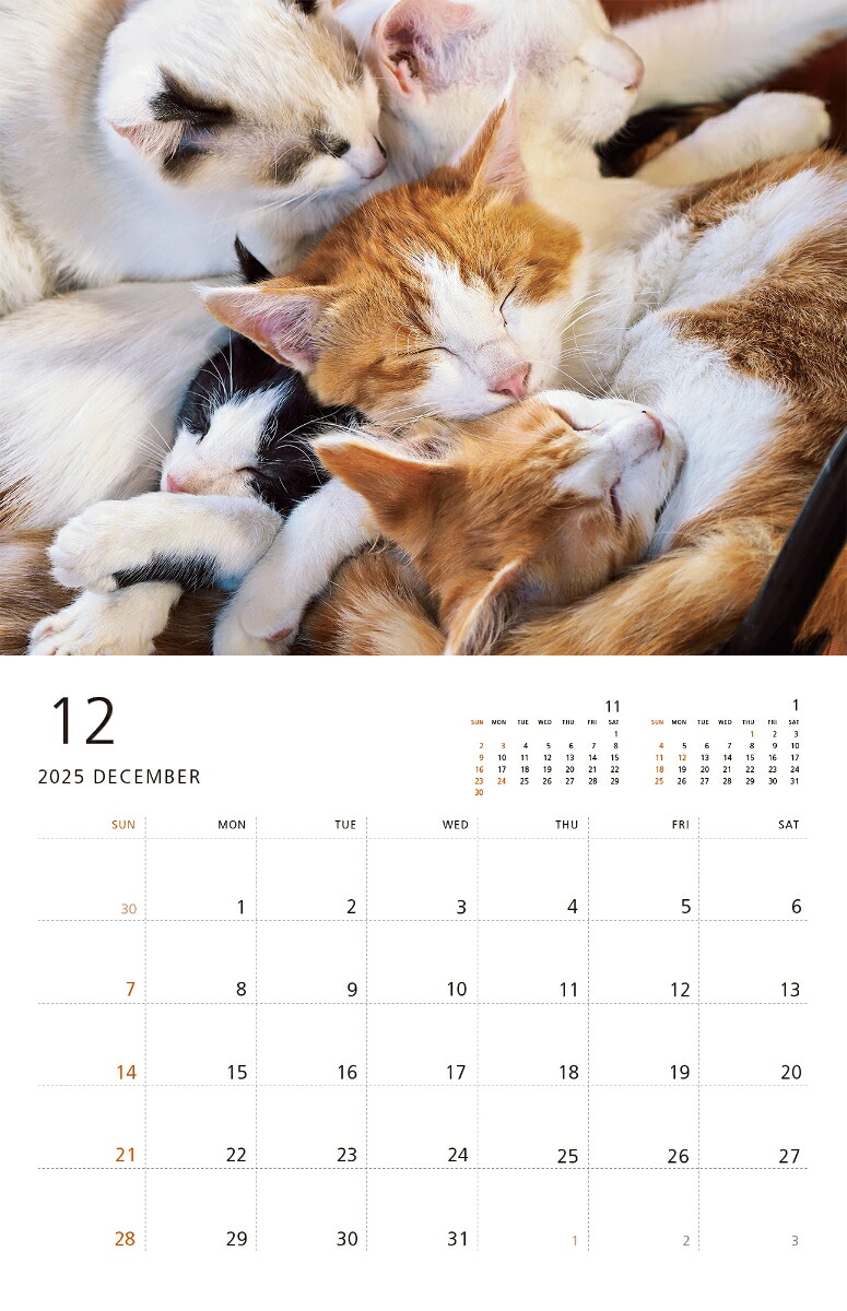 2025岩合光昭ねこ壁掛けカレンダー[岩合光昭]