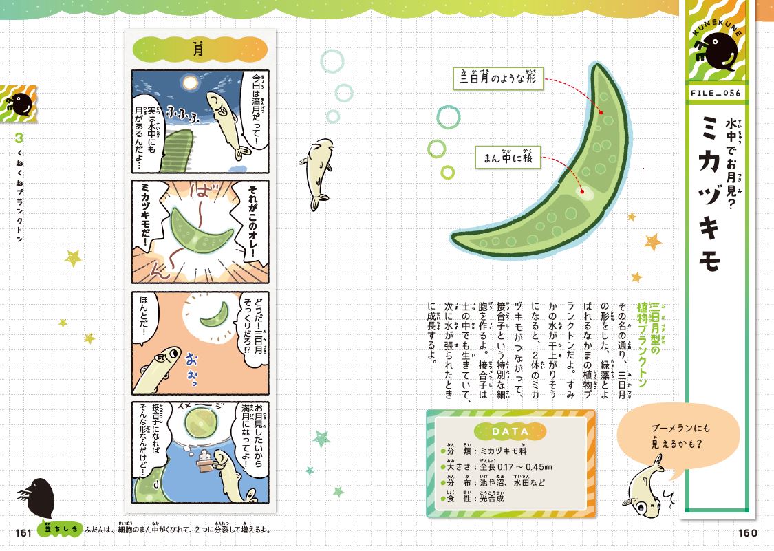 楽天ブックス ゆるゆるクラゲ プランクトン図鑑 和音 本