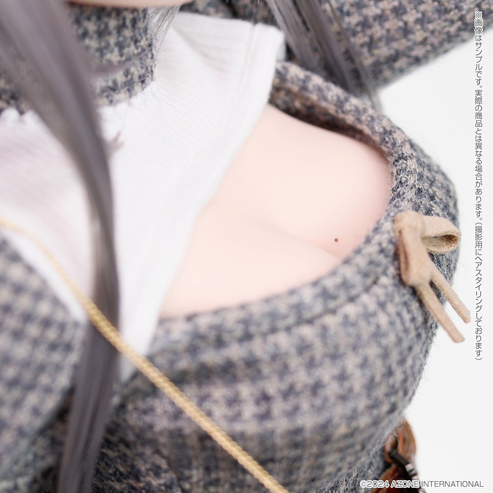 ブックス: アイリスコレクト 楓子（ふうこ）／My way of life．（SILVER ver．） 【AOD518-FMS】 (ドール) - 玩具 - 4573199843223 : ゲーム