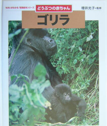 楽天ブックス ゴリラ どうぶつの赤ちゃん 増井光子 本