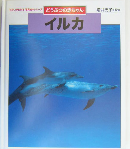 楽天ブックス: イルカ - どうぶつの赤ちゃん - 増井光子 