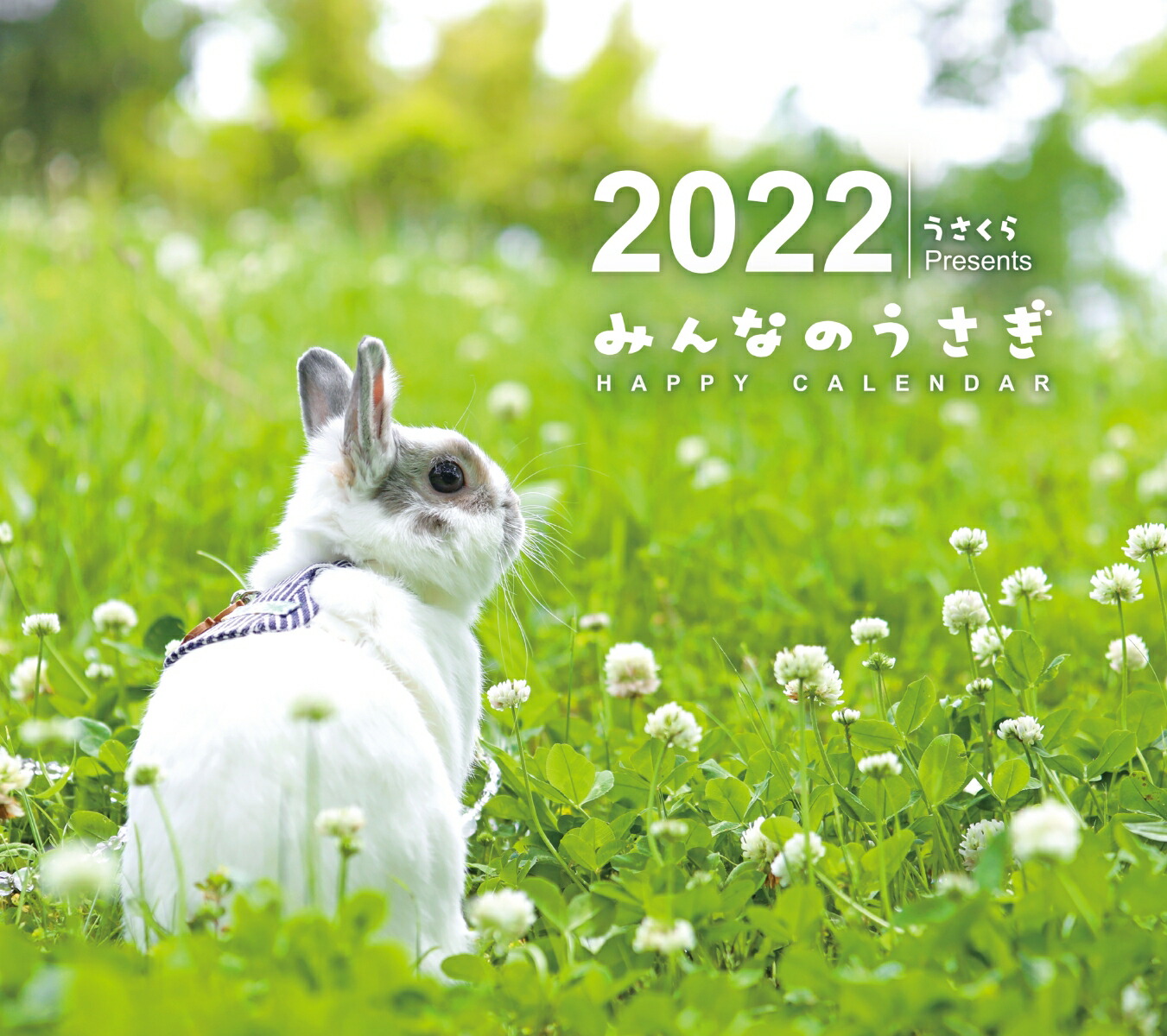 楽天ブックス みんなのうさぎ Happy Calendar22 うさぎと暮らす編集部 本