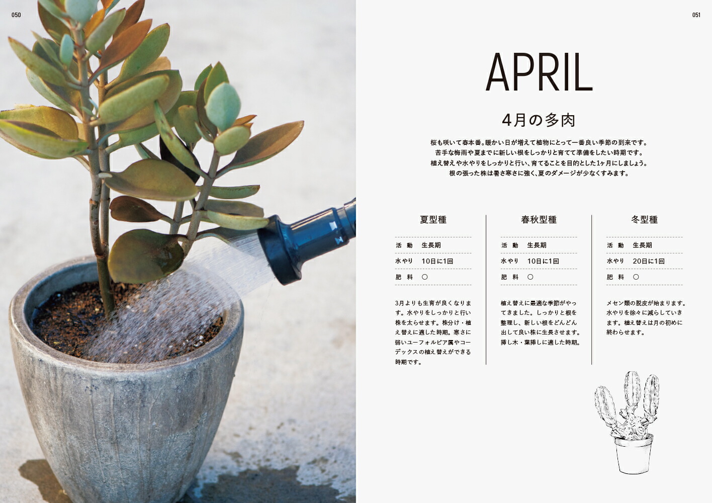 楽天ブックス はじめての多肉植物栽培 松山美紗 本