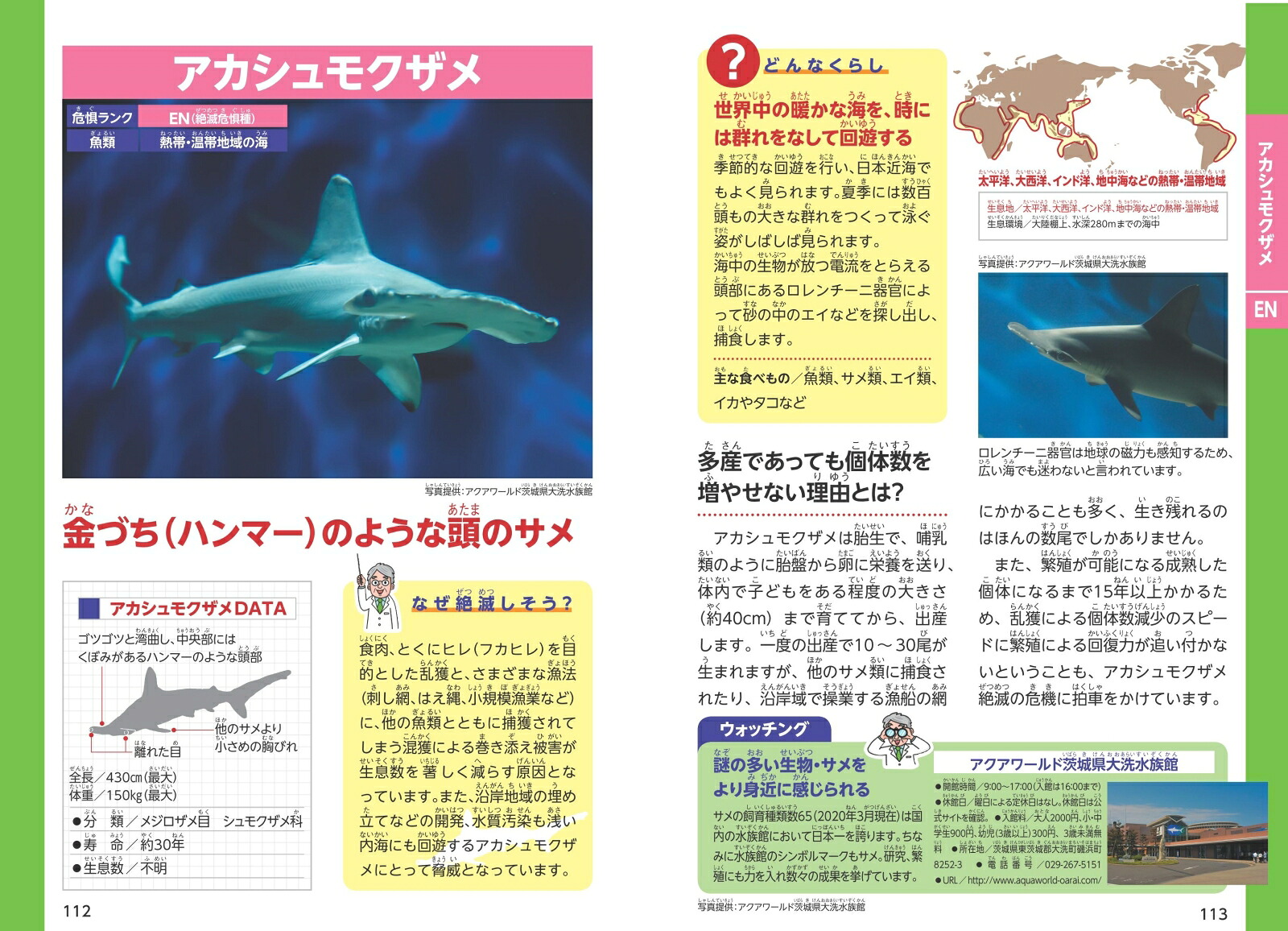 楽天ブックス みんなが知りたい 世界の 絶滅危惧 動物がわかる本 今泉 忠明 本