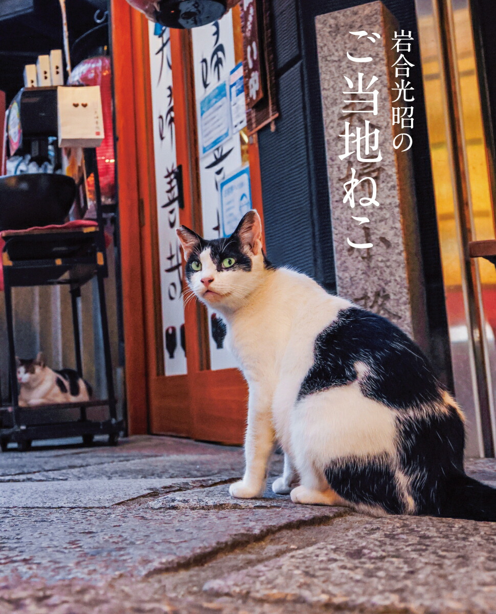 こちらaeiou　猫日記帳おまとめ　昭和レトロなガラスポット 61UGHpWkuNL._UF350,350_QL80_.jpg