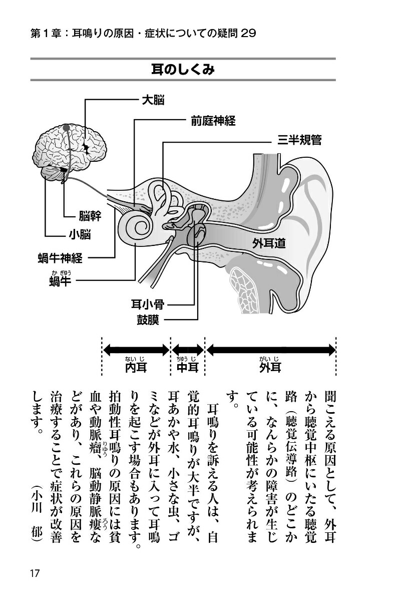 耳鳴り・難聴耳鼻咽喉科の名医が教える最高の治し方大全（健康実用）[小川郁ほか6名]